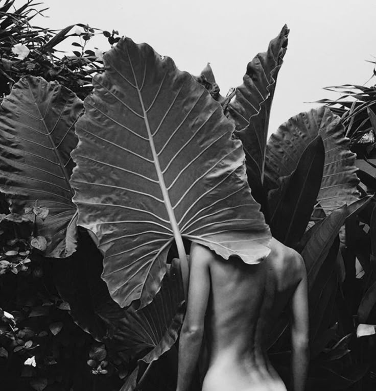 A woman standing behind a large leaf